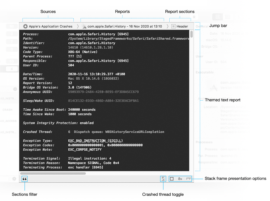Text - Overview